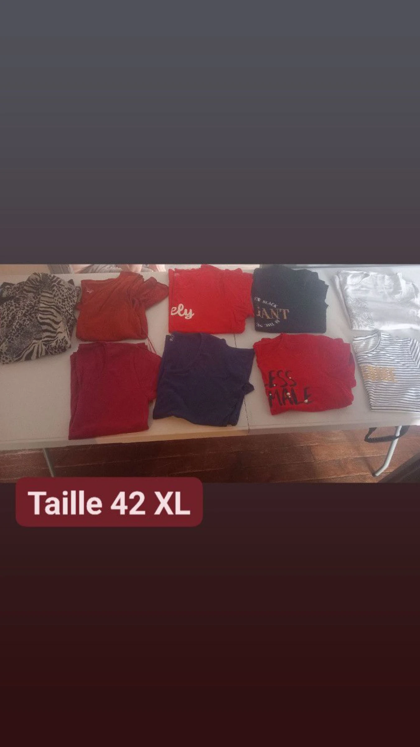 Lot de vêtement taille 42 